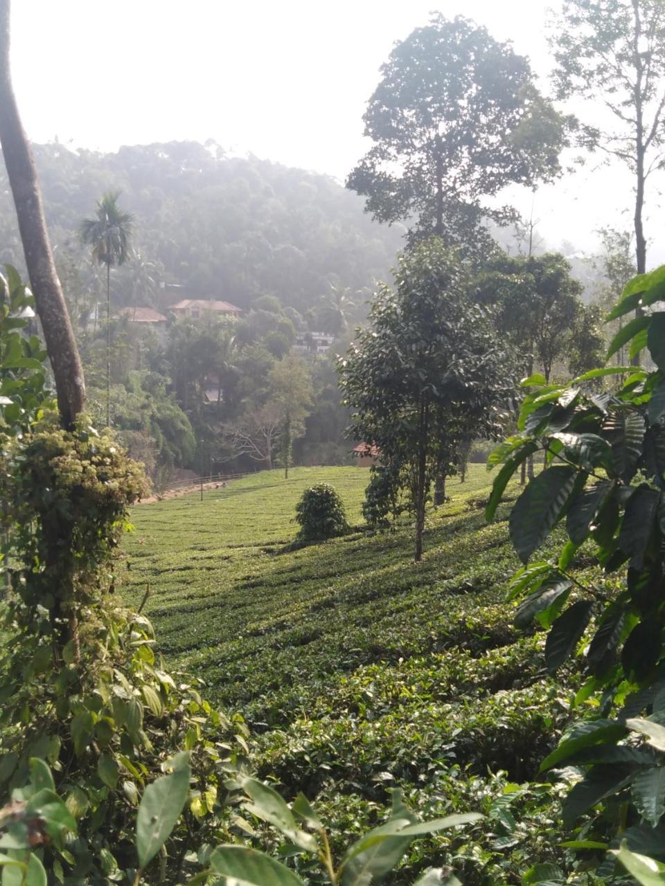 Letstay Vythiri Hill Palace 외부 사진